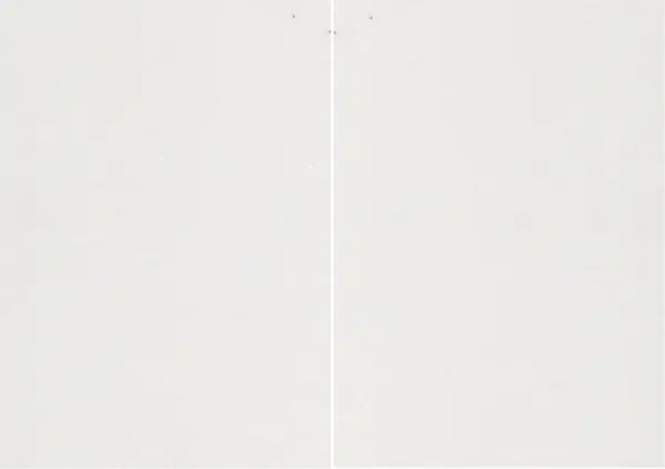 رخام تركي أبيض الثلج مطابقة ربع كتاب