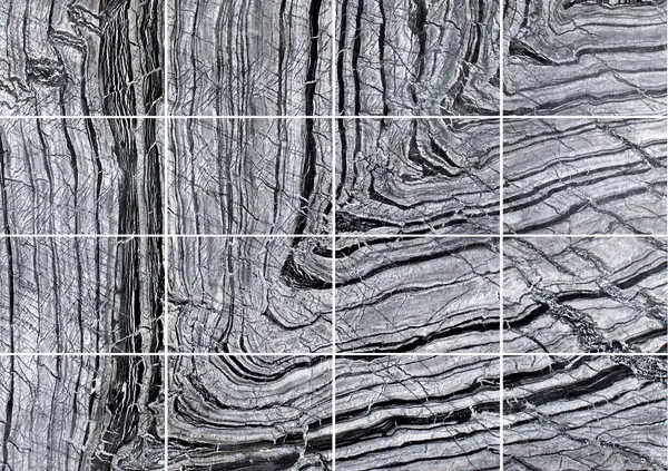 رخام باكستاني أسود مخطط كالحمار الوحشي مطابقة ربع كتاب