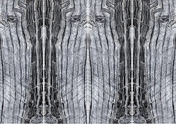 رخام باكستاني أسود مخطط كالحمار الوحشي غير مطابق